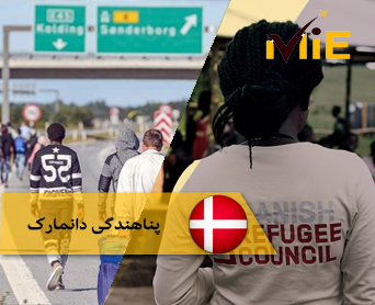 پناهندگی دانمارک
